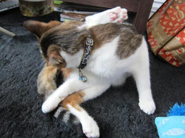 IMG05149.jpg