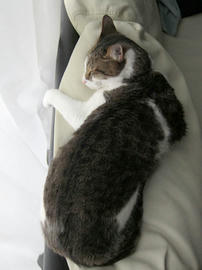 IMG05157.jpg