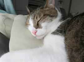 IMG05158.jpg