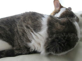 IMG05159.jpg