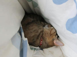 IMG05160.jpg