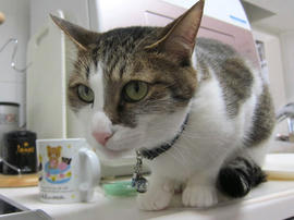 IMG05162.jpg