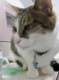 IMG05163.jpg