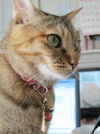 IMG05165.jpg
