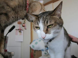 IMG05167.jpg