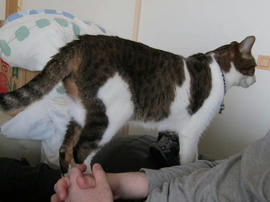 IMG05169.jpg
