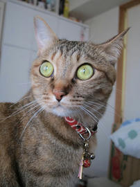 IMG05170.jpg