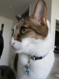 IMG05171.jpg