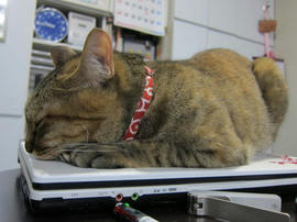 IMG05176.jpg
