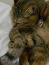 IMGP11307.jpg