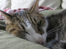 IMG02295.jpg
