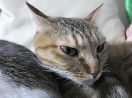 IMG02296.jpg