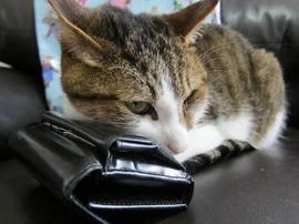 IMG05183.jpg