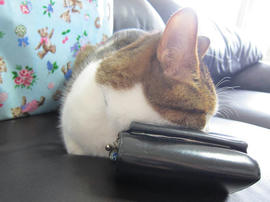 IMG05185.jpg