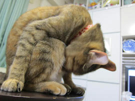 IMG05187.jpg