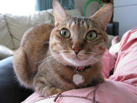 IMG02324.jpg