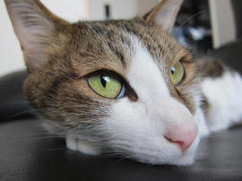 IMG05191.jpg