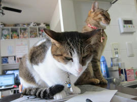 IMG05194.jpg