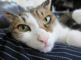 IMG05197.jpg