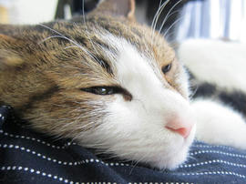 IMG05198.jpg