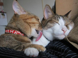 IMG05203.jpg