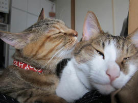 IMG05204.jpg