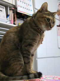 IMG05207.jpg