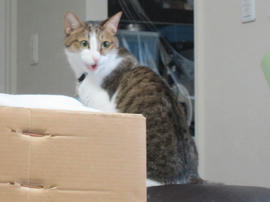 IMG05210.jpg