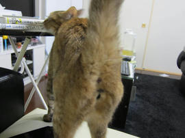 IMG05214.jpg