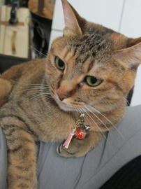 IMG05217.jpg