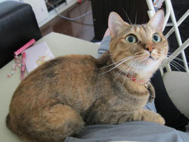 IMG05218.jpg