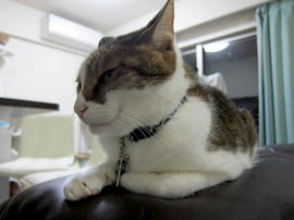IMG05221.jpg