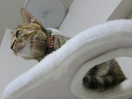 IMG05223.jpg