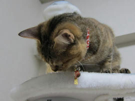 IMG05226.jpg
