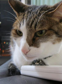 IMG05228.jpg
