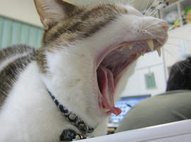 IMG05229.jpg