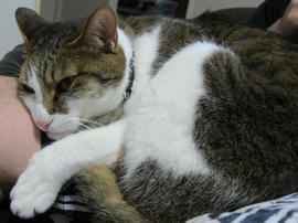 IMG05230.jpg
