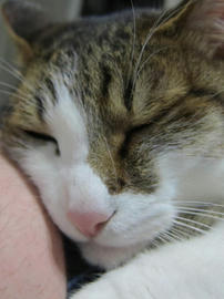 IMG05231.jpg