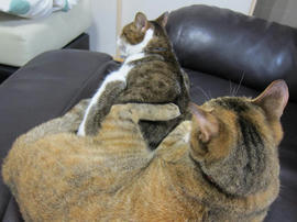 IMG05232.jpg
