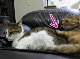 IMG05236.jpg