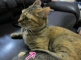 IMG05237.jpg