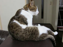 IMG05243.jpg