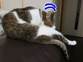 IMG05244.jpg