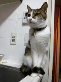 IMG02414.jpg