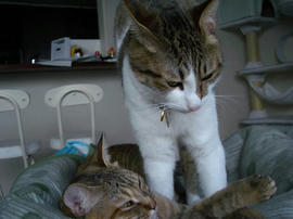 IMGP11369.jpg
