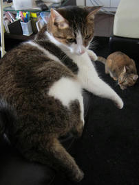IMG05268.jpg