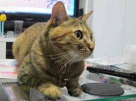 IMG05269.jpg