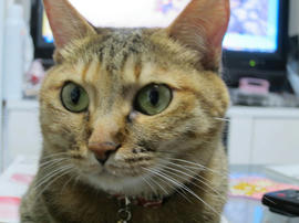 IMG05270.jpg