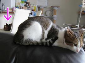 IMG05272.jpg