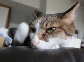 IMG05274.jpg